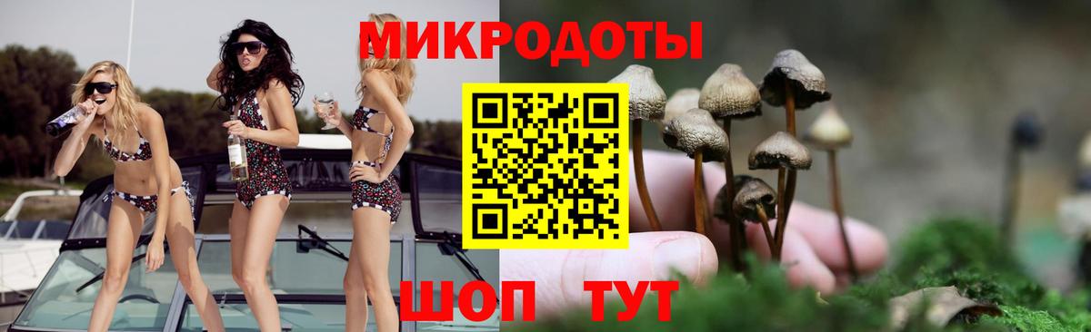 Асино  Галлюциногенные грибы прущие грибы  Вход с VPN 