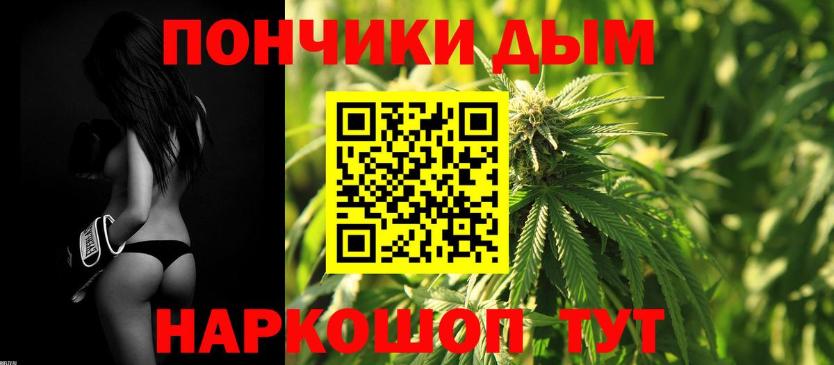 Бошки Шишки конопля Асино